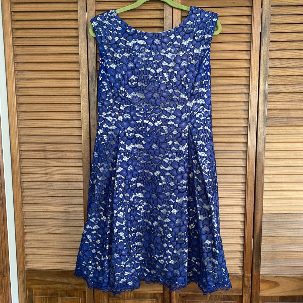 Eliza J Blue Floral Lace Cap Sleeve Fit and Flare Dress Size 12
